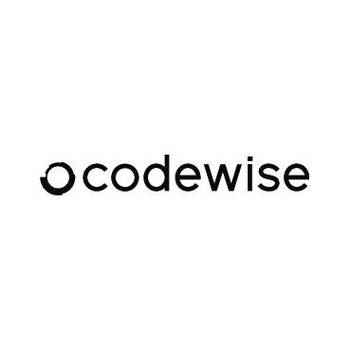 codewise_logo.jpeg